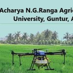 Acharya N.G. Ranga Agricultural University (ANGRAU), Guntur, A.P –Courses & Opportunities