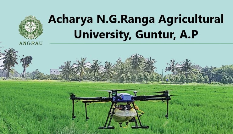 Acharya N.G. Ranga Agricultural University (ANGRAU), Guntur, A.P –Courses & Opportunities