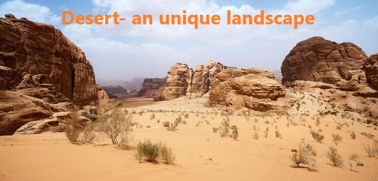 Desert- an Unique landscape -Interesting Facts