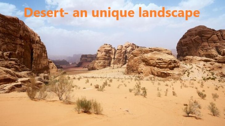 Desert- an Unique landscape -Interesting Facts